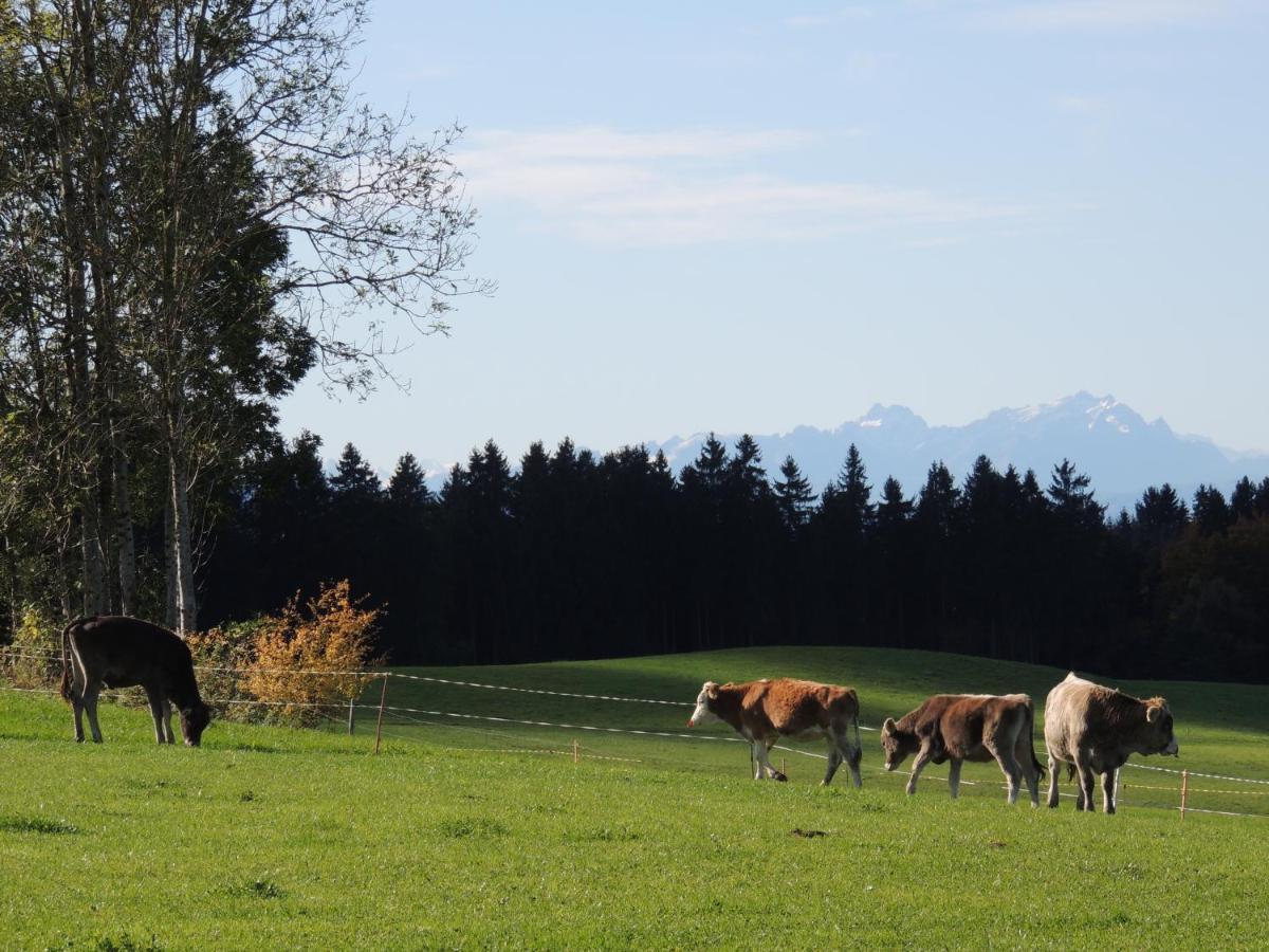 Ferienwohnung Butscher Isny im Allgäu Екстериор снимка